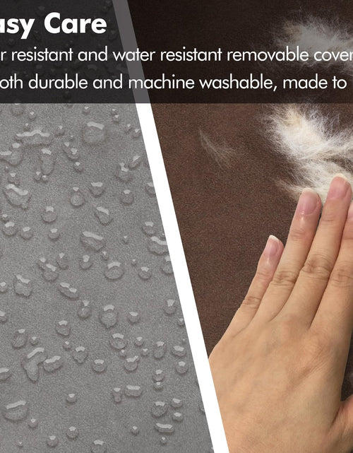 Load image into Gallery viewer, Orthopedic Dog Bed Lounge Sofa Removable Cover 100% Suede Mattress Memory-Foam with Bolster Rim Premium Prestige Edition
