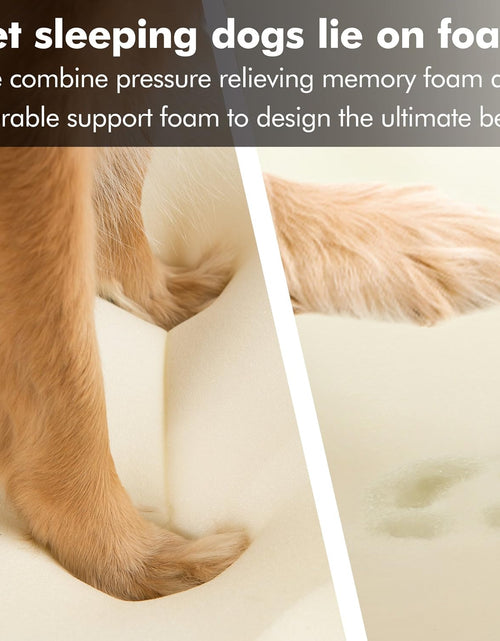 Load image into Gallery viewer, Orthopedic Dog Bed Lounge Sofa Removable Cover 100% Suede Mattress Memory-Foam with Bolster Rim Premium Prestige Edition
