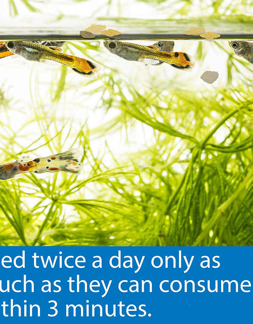 Load image into Gallery viewer, TROPICAL GREENS FLAKES Tropical Fish Greens Flakes Fish Food 2.1-Ounce Container
