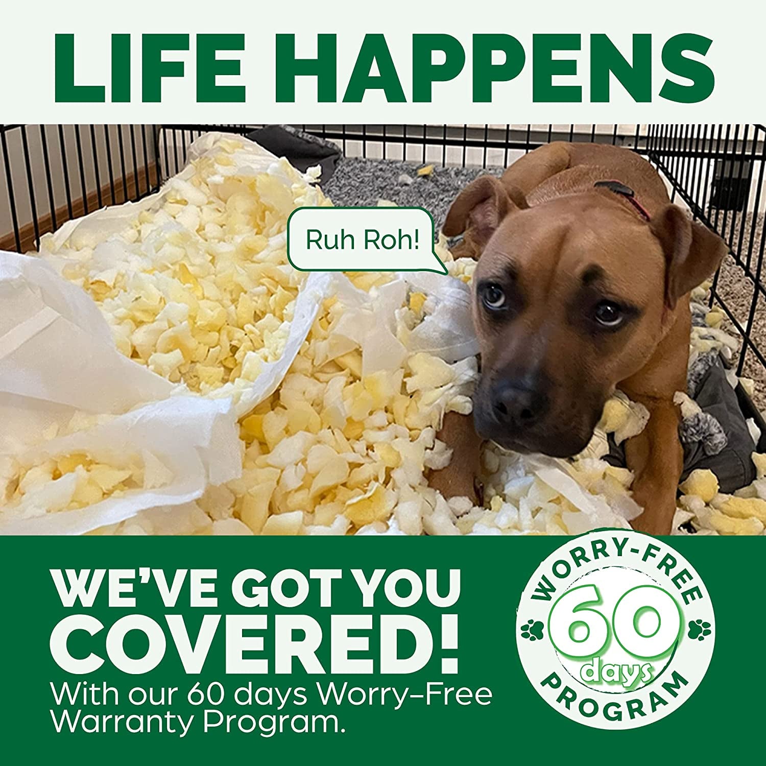 Replacement Pet Bed Cover - Plush Velvet Waves Perfect Comfort Sofa Washable Dog Bed Cover, Celadon Green, Jumbo plus (Xx-Large)