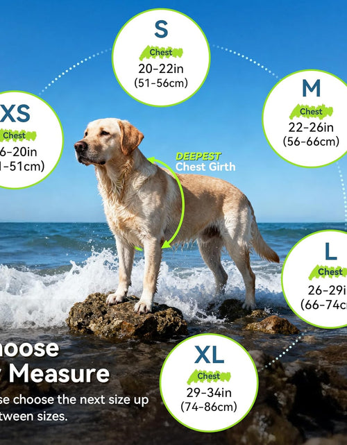 Load image into Gallery viewer, New Neoprene Sports Style Dog Life Jackets, Snug &amp; Safer Dog Life Vest with Superior Buoyancy &amp; Rescue Handle
