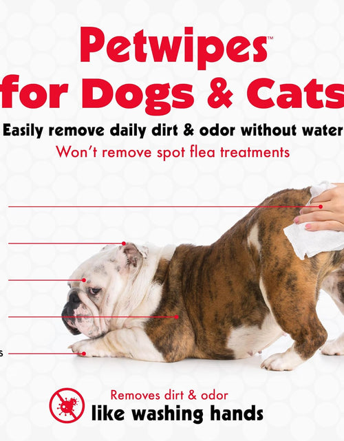 Load image into Gallery viewer, Pet Wipes for Dogs and Cats, 200 Large Wipes - Removes Dirt &amp; Odor like Washing Hands - Cleans Ears, Face, Butt, Eye Area - Convenient, Ideal for Home or Travel - 2 Packs of 100 Wipes
