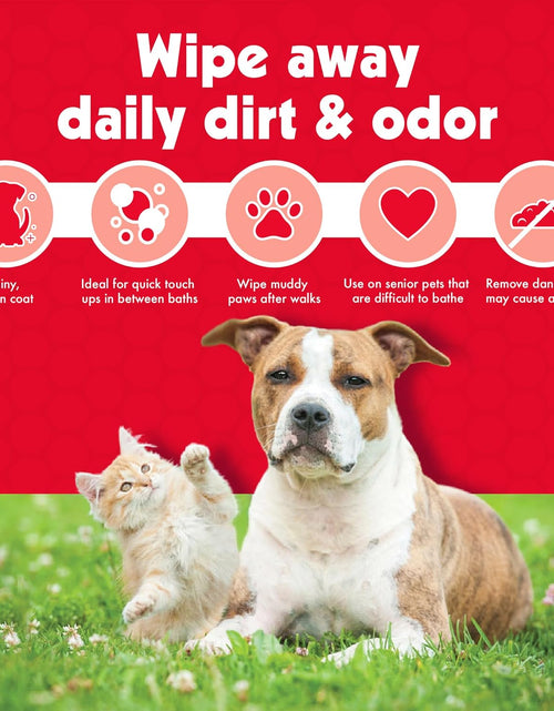 Load image into Gallery viewer, Pet Wipes for Dogs and Cats, 200 Large Wipes - Removes Dirt &amp; Odor like Washing Hands - Cleans Ears, Face, Butt, Eye Area - Convenient, Ideal for Home or Travel - 2 Packs of 100 Wipes
